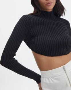Cropped High Neck Backless Long Sleeve Knit Top -Everrastyle Shop bearman backless funnel top black imageback kl111146knt