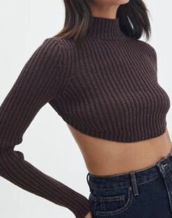 Cropped High Neck Backless Long Sleeve Knit Top -Everrastyle Shop bearman backless funnel top its soy cute imageback kl111146knt
