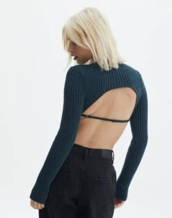 Cropped High Neck Backless Long Sleeve Knit Top -Everrastyle Shop bearman backless funnel top ivy league back kl111146knt
