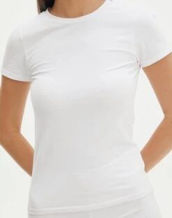 Cotton Fitted Tee -Everrastyle Shop cancun cotton tee white imageback ts121963cot