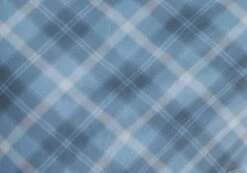 Printed Mini Mesh Dress -Everrastyle Shop delica mini mesh bubble check imagefront ds128708rchk