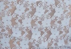 Off Shoulder Lace Long Sleeve Top -Everrastyle Shop lexi longsleeve lace top icecap imagefront tl116985lac