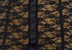 Lace Cupped Mini Dress 13 Lace Cupped Mini Dress -Everrastyle Shop maeve mesh mini dress blacknude imagefront ds92784lce