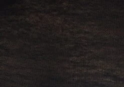 Sheer Backless Long Sleeve Crop Top 26 Sheer Backless Long Sleeve Crop Top -Everrastyle Shop mila underwire super crop black imagefront tl112008msh