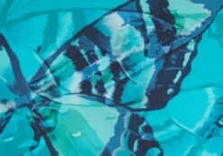 Printed Thong Bikini Bottom -Everrastyle Shop r zimi high waist thong mystic butterflies imagefront ga63412rmsb