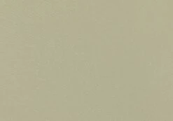 Thong Bikini Bottom -Everrastyle Shop r zimi high waist thong precious cargo imagefront ga63412rpln