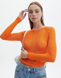 Sheer Long Sleeve Knit Top