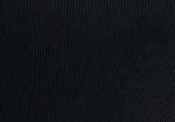 Rib High Neck Bodysuit -Everrastyle Shop raro razor ribbed bodysuit black imagefront tb116787vis