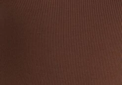 Rib High Neck Bodysuit -Everrastyle Shop raro razor ribbed bodysuit deep umber imagefront tb116787vis