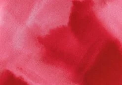 Print Frill Split Tie Front Blouse -Everrastyle Shop riley ruffle blouse carnation skies imagefront bl64192prt