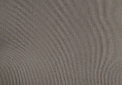 Seamless Cropped Long Sleeve -Everrastyle Shop sophie super cropped seamless top cypress imagefront tl101259rsml