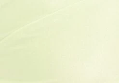 Shimmer Thong Bikini Bottom -Everrastyle Shop zimi high waist thong lime splice imagefront ga63412shm